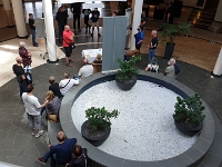 AFH-Niederrhein 2020 028