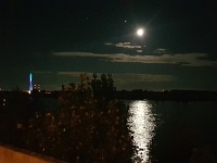 AFH-Niederrhein 2020 106